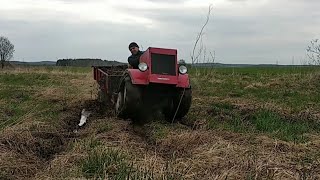 Гусеничный минитрактор возит перегной , открываем бурт , сажаем картошку под солому.