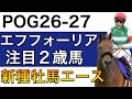 【POG/26−27】エフフォーリア産駒の注目２歳馬をリストアップ！【良血多数の新種牡馬のエース‼️次シーズン向け】