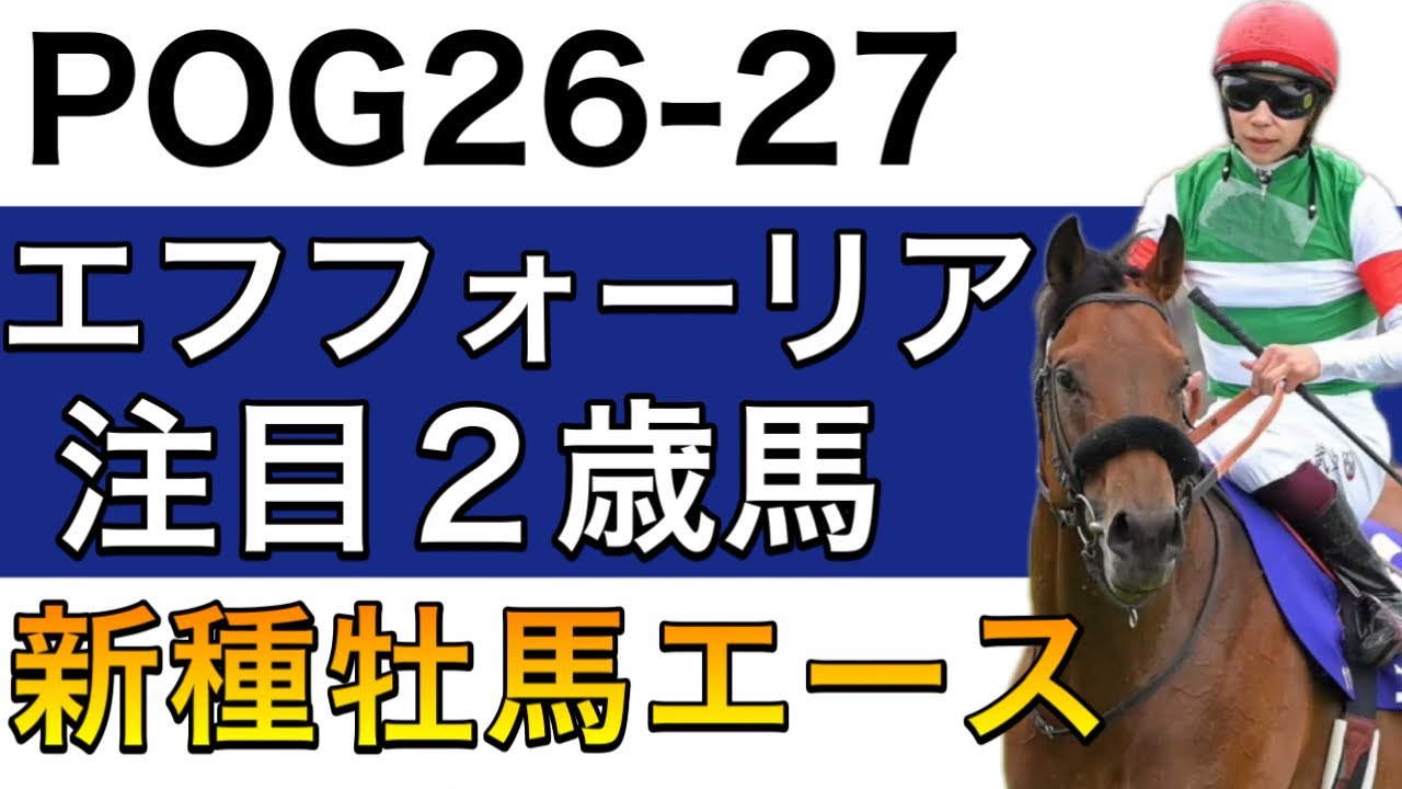 【POG/26−27】エフフォーリア産駒の注目２歳馬をリストアップ！【良血多数の新種牡馬のエース‼️次シーズン向け】