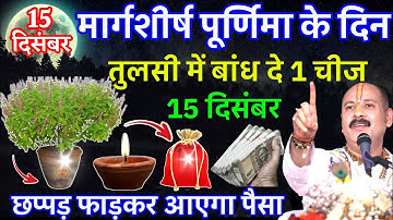15 दिसंबर मार्गशीर्ष पूर्णिमा के दिन तुलसी में बांध दें ये 1 चीज तुरंत गरीबी होगी दूर #pradeepmishra