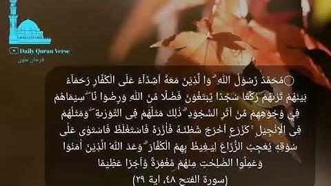 (سورة الفتح‎ ٤٨، اية ٢٩) (Al-Fath 48: Verse 29)