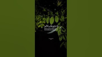 #قرآن_كريم #محمد_صديق_المنشاوي #الوطن_العربي #سورة_الأنعام #quran #quran_kareem #islam #islamic