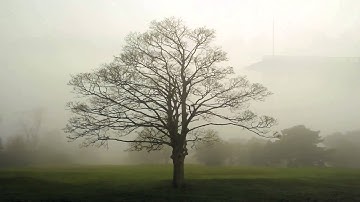 Gitanjali - Rabindranath Tagore - 90 - When death will knock at my door