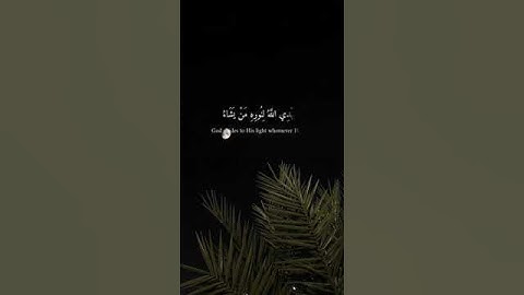 سورة النور بصوت القارئ شريف مصطفى 🤍🦋 #شريف #مصطفى #شريف_مصطفى #القرآن #سورة_النور ♕