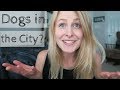 IS IT CRUEL TO HAVE A DOG IN THE CITY? | InRuffCompany.com