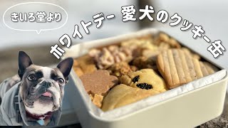 数量限定クッキー缶販売します/愛犬のためのおやつ/きいろ堂 by ボストンテリアきいろ 448 views 2 months ago 10 minutes, 16 seconds