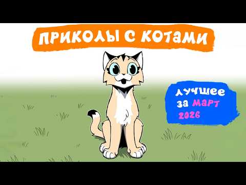 Funny Cat Moments. BEST OF MARCH 2026 | Memozg