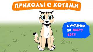 Приколы с котами. ЛУЧШЕЕ ЗА МАРТ 2026 | Мемозг