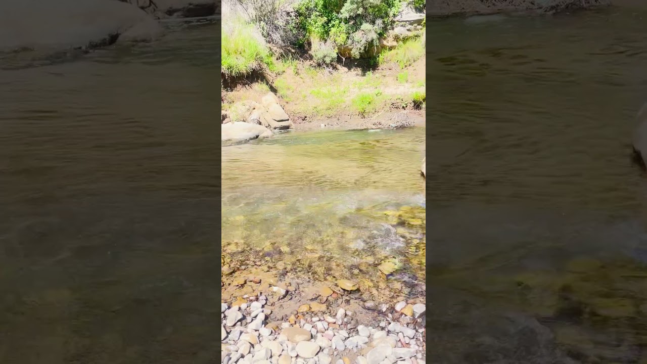 Water therapy?