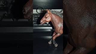 reception d'aujourd'hui #horse #questcequejedevraischoisir #fpy #cheval #schleich