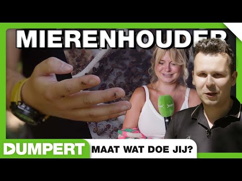 Syl gaat langs Mierenhouder | Maat wat doe jij?
