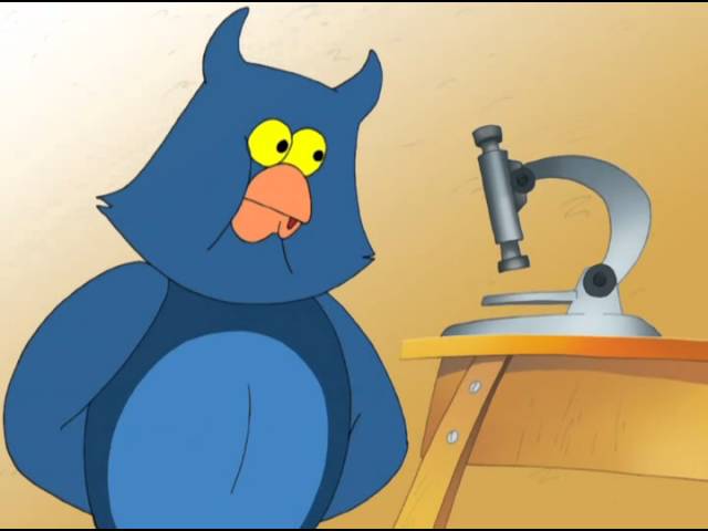 ������������