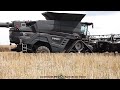 Fendt - Perard / Getreideernte - Grain Harvest  2023