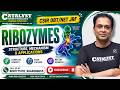 🧬 RIBOZYMES | Structure, Mechanism & Applications | CSIR DBT/NET JRF |