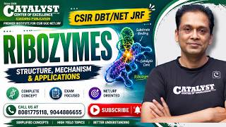 🧬 RIBOZYMES | Structure, Mechanism & Applications | CSIR DBT/NET JRF |