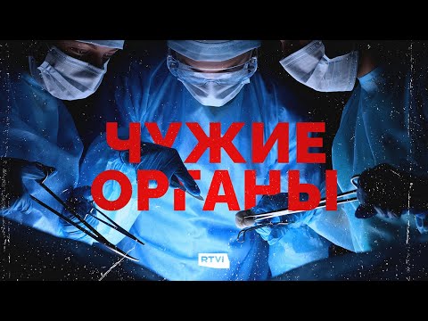 Видео: 50 бизона пред къщата