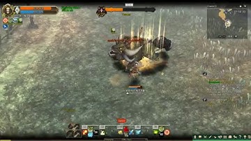 TREE OF SAVIOR MONK C1 SOLO BOSS LV. 127 Tetraox