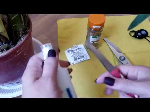 ორქიდეომანია # ციმბიდიუმის საყვავილე ღერო, როგორ მოვიქცეთ ყვავილობის შემდგომ (Cymbidium)