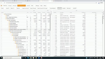 Tickmark Audit Software - Reporting Tool (2021)