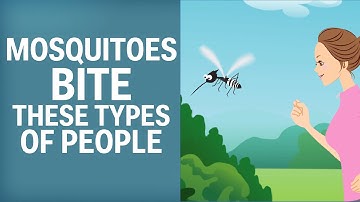 Mosquitoes Like To Bite These Types Of People