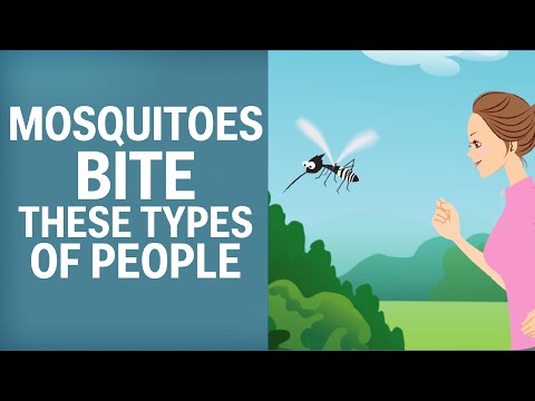 Video: What Kind Of People Do Mosquitoes Like?