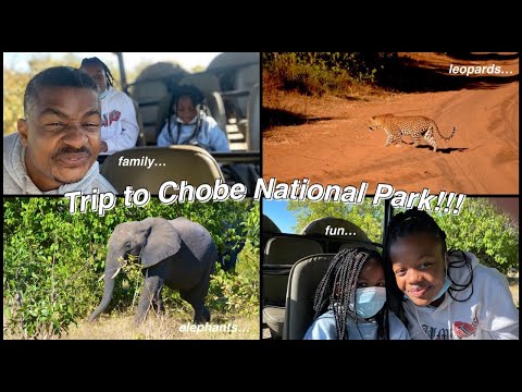 Trip to Chobe National Park!!!