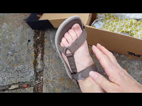 teva m sanborn universal