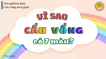 Vì sao cầu vồng có 7 màu? Vì sao cầu vồng xuất hiện?  #6 Thắc mắc của Rosie- WHY - Tư nhiên