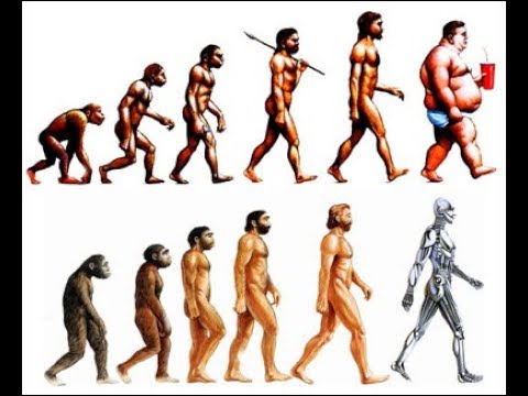 Video: Evolyutsiya Nima?