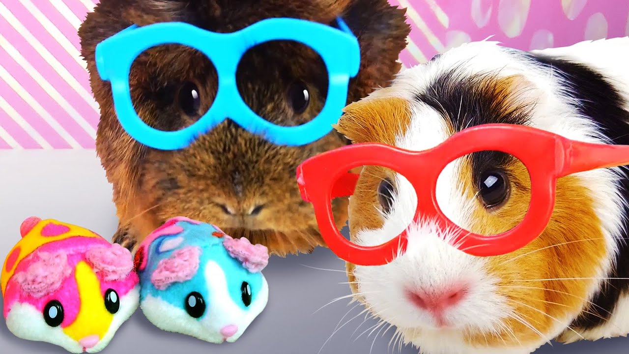 Свинка Бузя - новые питомцы. Мультики для детей на русском