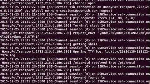 Honeypot Kippo. HUGE log after only 3 days