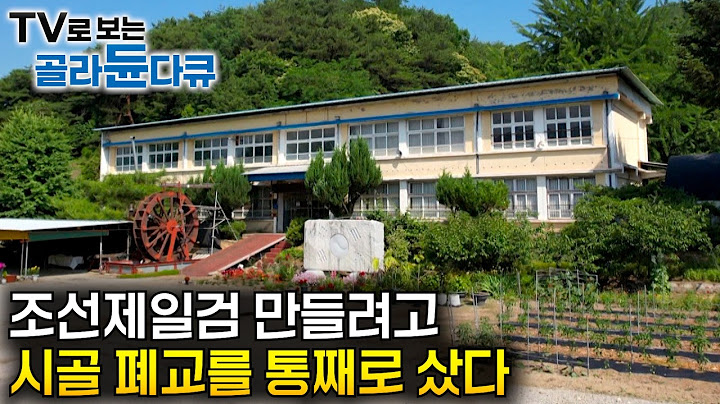 조선 시대 왕실검을 만들기 위해 시골 폐교를 통째로 개조한 남자｜돈 때문에 하는게 아니다. 명검을 향한 집념 하나로 매일 검을 두들이는 장인｜극한직업｜#골라듄다큐
