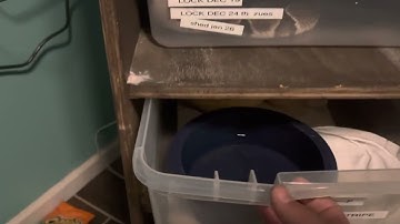 Zeus the ball Python 🐍 takes down a gerbil that puts up a fight 🤘🤘🐍🐀⚠️ live feeding ￼￼