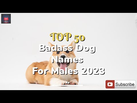 Video: 50 muzikos įkvėptų šunų vardai