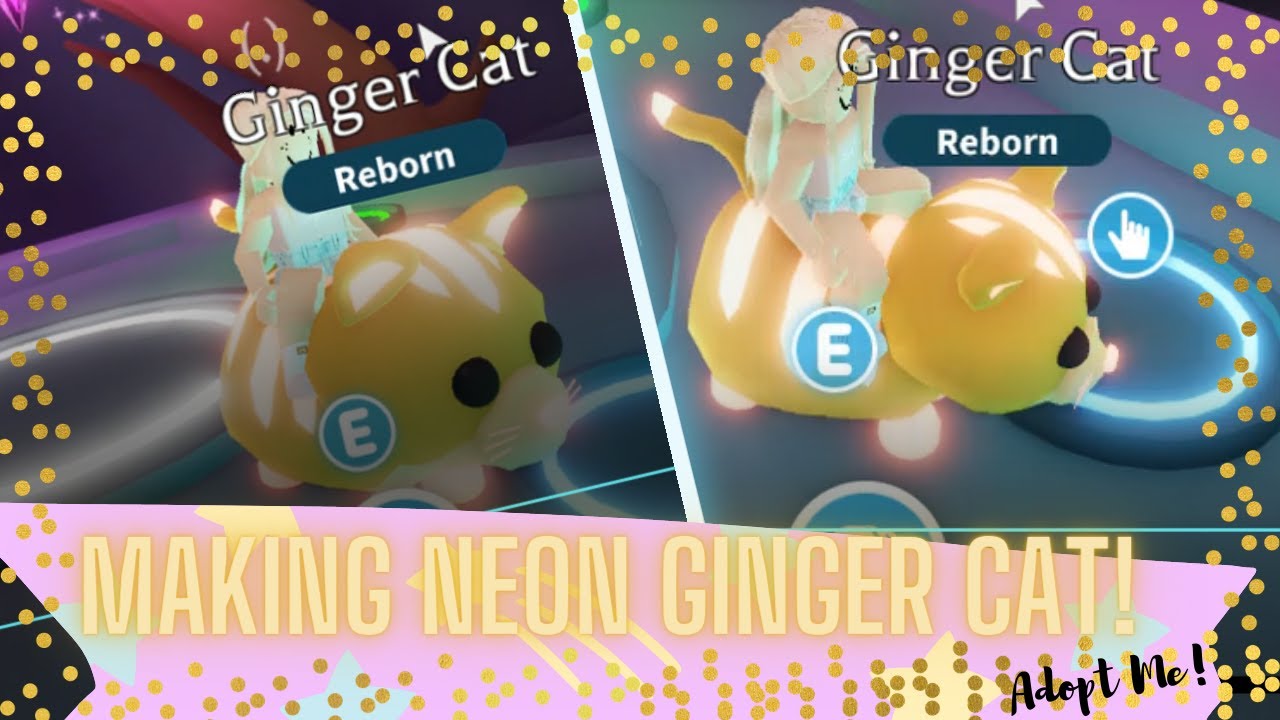 Making Neon Ginger Cat Roblox Adopt Me Youtube