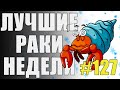 ЛРН выпуск №127. ЦВЕТ НАСТРОЕНИЯ КОРИЧНЕВЫЙ [Лучшие Раки Недели]