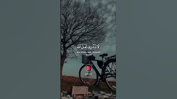 #تلاوات #اكسبلور #mbc #لايك #quran #تيك_توك #ترند #love #تفاعل #راحة_نفسية