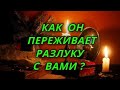 Как он переживает разлуку с Вами?