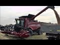 Harvesting wheat 2015: Case IH Axial Flow 6130 rotary combine.