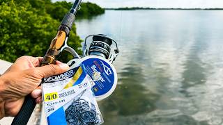 Florida Snook Fishing Secrets They Don't Want You to Know