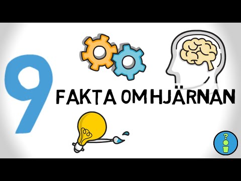 Video: 9 Myter Om Den Mänskliga Hjärnan