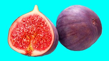 Hidden Patterns Inside Exotic & Tropical Fruits & Vegetables [Satisfying & ASMR] stop-motion