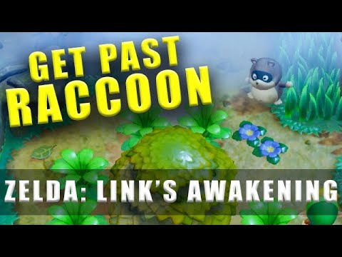 Vídeo: Zelda: Link's Awakening - Localização Da Mysterious Forest's Tail Key E Como Usar O Toadstool Para Passar Pelo Raccoon