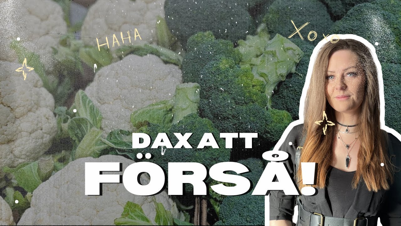 DAX ATT SÅ! | vlogg