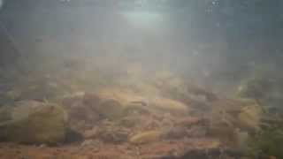 Underwater Sediment Transportation Brecon Beacons 2