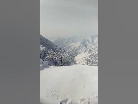 Снежные горы Таджикистана #shorts #горы #зима - YouTube