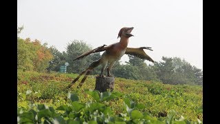 Insights from China on the Dinosaurian Origin of Birds