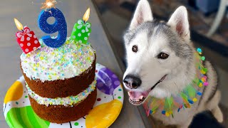 The BEST Carrot Cake Birthday Cake for Dogs 🎂 DIY Dog Treats