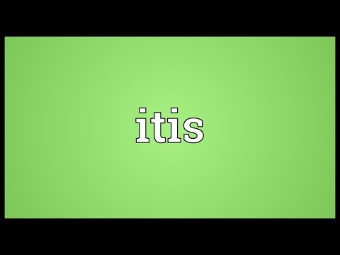 Itis Meaning