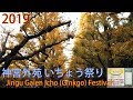 神宮外苑 いちょう祭り 2019 Jingu Gaien Icho (Ginkgo) Festival
